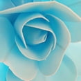 thumbnail image 1 of Flor de espuma de fondo plano, flor de simulación, pared adhesiva, flor falsa, diseño del sitio para eventos de bodas, planta decorativa para pared, 1 of 6