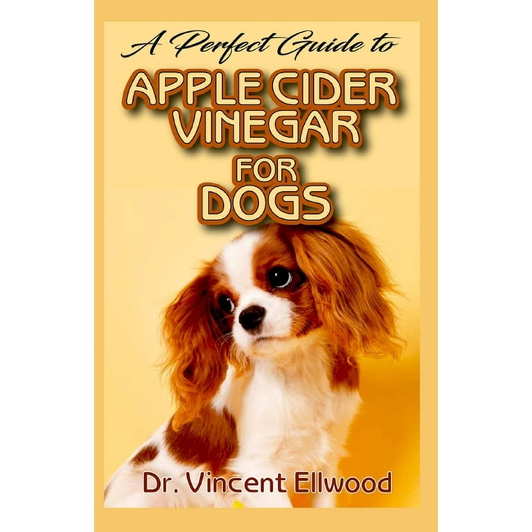 Apple Cider Vinegar Ear Infection Dogs