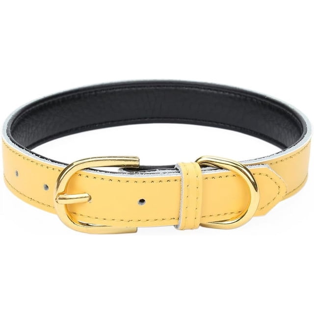 Collares básicos clásicos acolchados de cuero para mascotas, para gatos, cachorros, perros pequeños y medianos