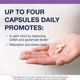 thumbnail image 3 of Metagenics Trancor, Glutamate & Balance Supplement with NAC and Taurine to Help Promote Calmness - 120 Capsules, 60 Servings, 3 of 7