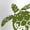 WHITE, variant on Instant Message - Sea Turtles - Youth Girls Boxy T-Shirt