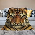 thumbnail image 2 of Nawypu Tiger Pattern Throw Blanket,Tiger Blanket for Bed Sofa Couch Soft Flannel Lightweight Throw Blanket for Adult Boys Girls, 2 of 6