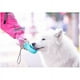 thumbnail image 5 of Botella de agua portátil para perros, botella de viaje para perros de 350 ml, fuente de agua para cachorros a prueba de fugas, termo para perros de calidad alimentaria, 5 of 5