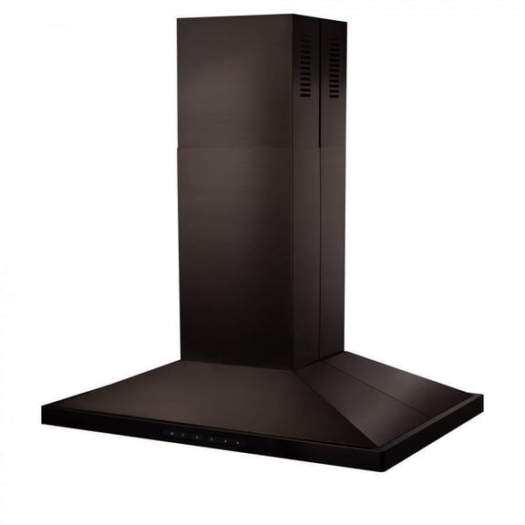ZLINE KITCHEN AND BATH BSGL2IN42 ductless hood