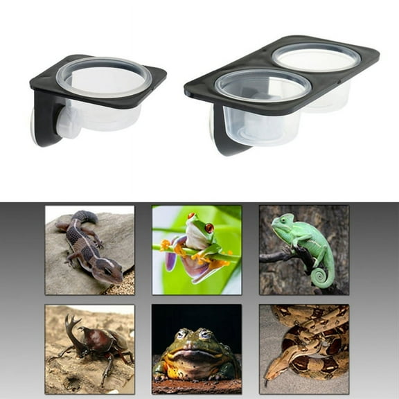 Amphibians Lizard Gecko Suction Cup Feed Bowls Food Container with Bowl for Reptile Food and Water Feeding-B