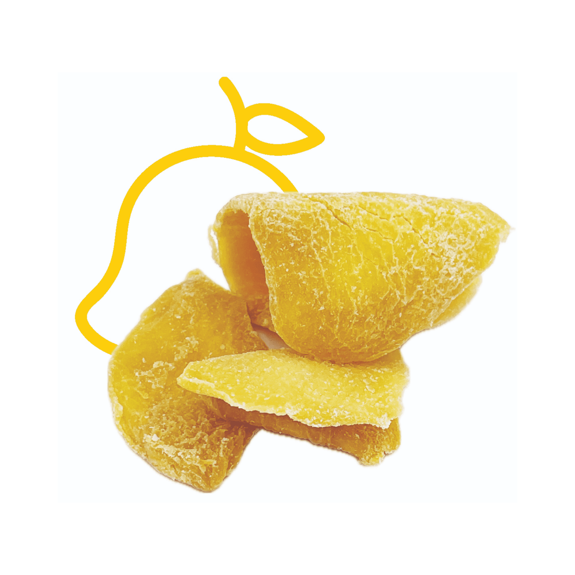 Fresh Gravity Dried Mango Slices | Ready-to-Eat, Naturally Sweet & Chewy | Perfect for Snacking (65g x 6)