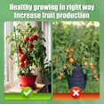 thumbnail image 3 of Jaulas de soporte para plantas Anothera ajustables para tomates, 90 cm, paquete de 4, 3 of 6