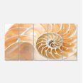 thumbnail image 2 of Brown Nautilus Shell Pattern - Abstract Canvas Art Print, 2 of 3
