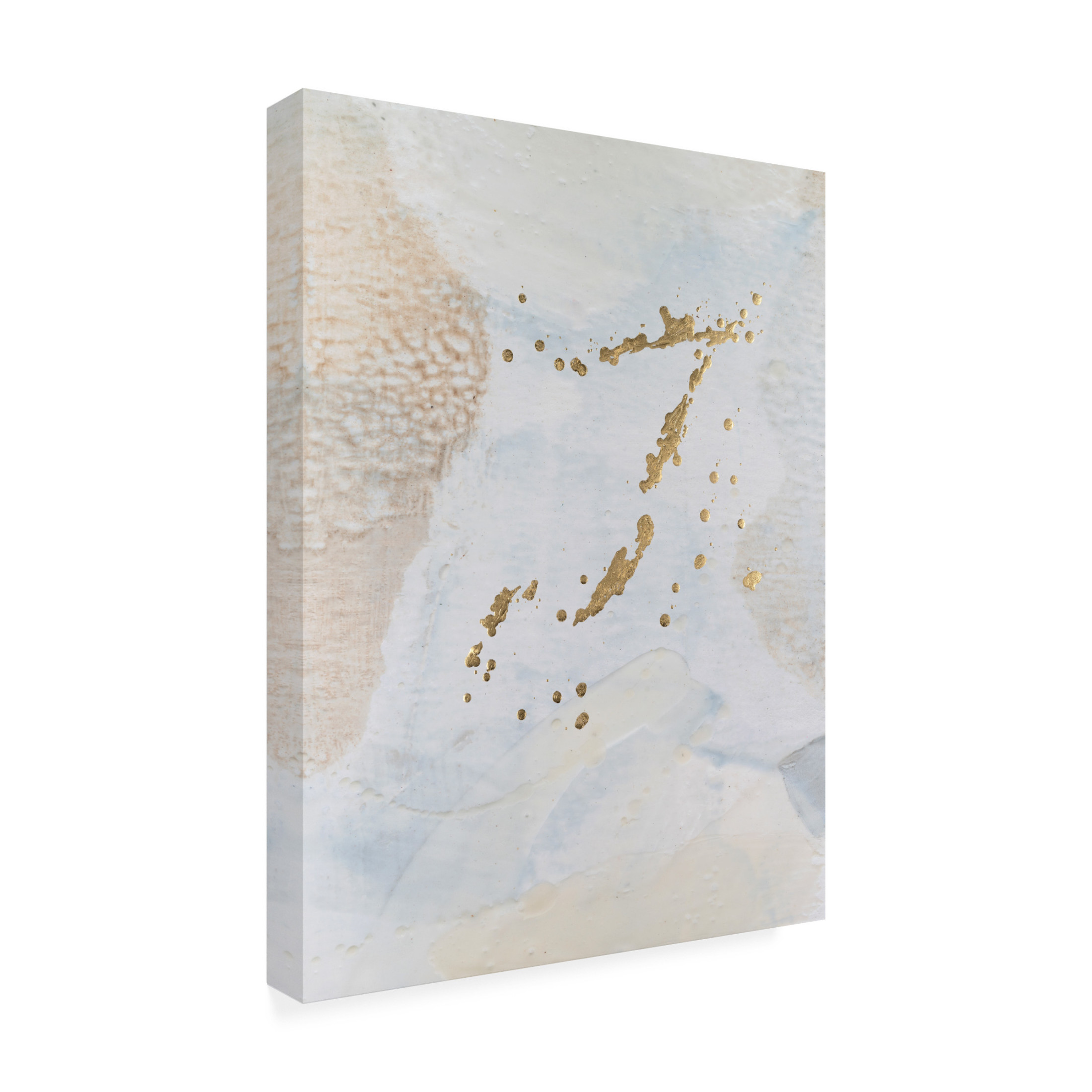 Trademark Fine Art Sue Jachimiec  Faison II Canvas Wall Art