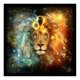 thumbnail image 2 of Cuadros Decorativos Kit de pintura de diamantes 5D, arte de mosaico de diamantes cuadrados completos de animales DIY Tmvgtek embutido en tela, 2 of 6