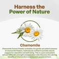 thumbnail image 5 of Chamomile Extract Powder 8oz, 5 of 8