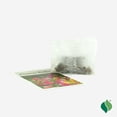thumbnail image 4 of Ranunculus Mix, 4 of 8