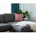 thumbnail image 2 of Gouchee Home Solid Velvet Cushion, 2 of 5