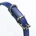 thumbnail image 7 of SPRING PARK Fashion Dog Collar Faux Leather Neck Strap Adjustable for Pet Dog Puppy Cat Kitten, 7 of 7
