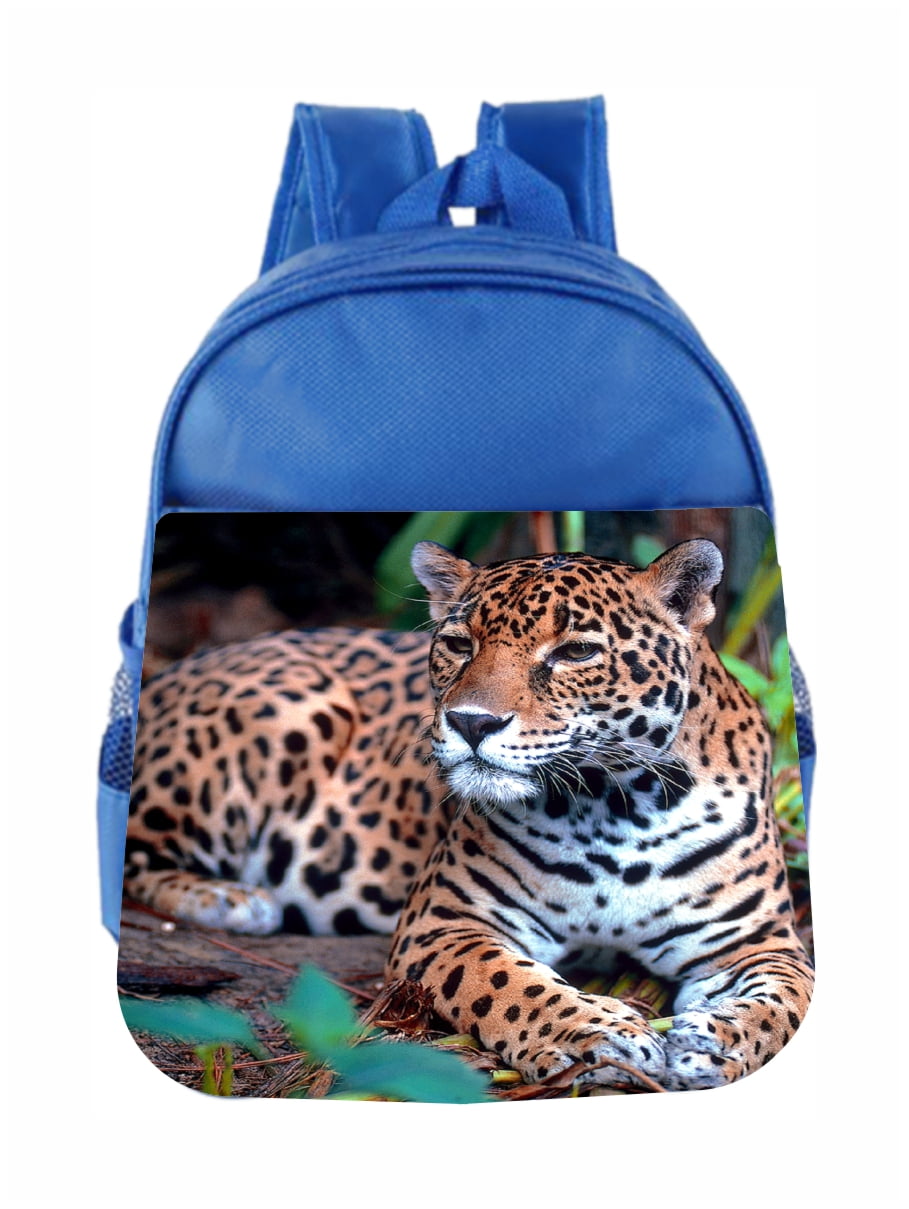 anti theft travel gear
