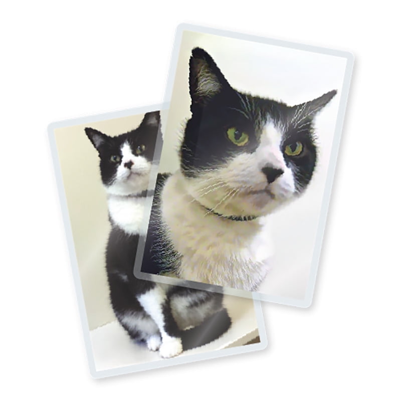 TruLam Thermal Laminating Pouches 7 Mil Special Size 100Pack in