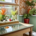 thumbnail image 1 of Greenadscape 16Ud Simulación Coral Para Acuarios En Resina Resistente Fácil De Mantener Y Decorar Espacios, 1 of 8
