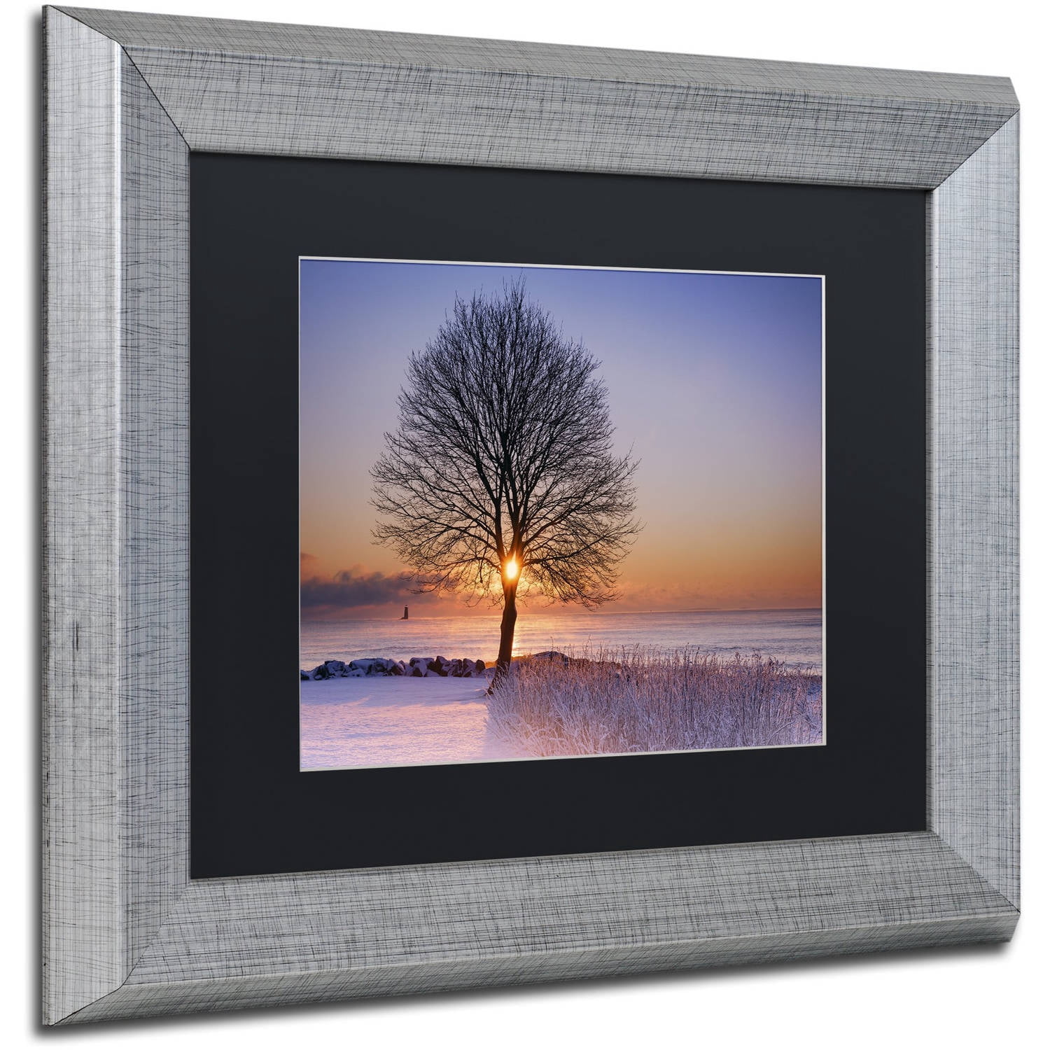 Trademark Fine Art "Tree Burst" Canvas Art by Michael Blanchette Photography Black Matte, Silver Frame