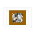 thumbnail image 1 of Pritive God Cosmos Regeneration Photo Mount Frame Picture Art Painting Desktop 5x7 inch, 1 of 3