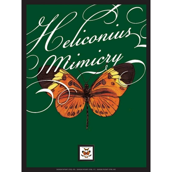 Heliconius Butterfly Framed Wall Art with Postage Stamp
