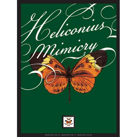 Heliconius Butterfly Framed Wall Art with Postage Stamp
