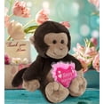 thumbnail image 6 of DolliBu Happy Mother's Day Super Soft Plush Monkey - Cute Stuffed Animal Present with Pink Heart Message for Best Mommy, Grandma, Wife, Daughter - Cute Wild Life Plush Toy Gift - 9 Inches, 6 of 6