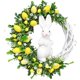 thumbnail image 2 of 2D Easter Wreath Door Decoration Butterfly Egg Seasonal Spring Party Garland Ornament Props Yellow Rabbit, 2 of 2