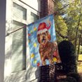 thumbnail image 2 of Carolines Treasures CK2482CHF Christmas Lights Labradoodle Flag Canvas House Size, 2 of 4