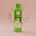 thumbnail image 2 of Anyeluz Shampoo de Aloe Vera, 2 of 6