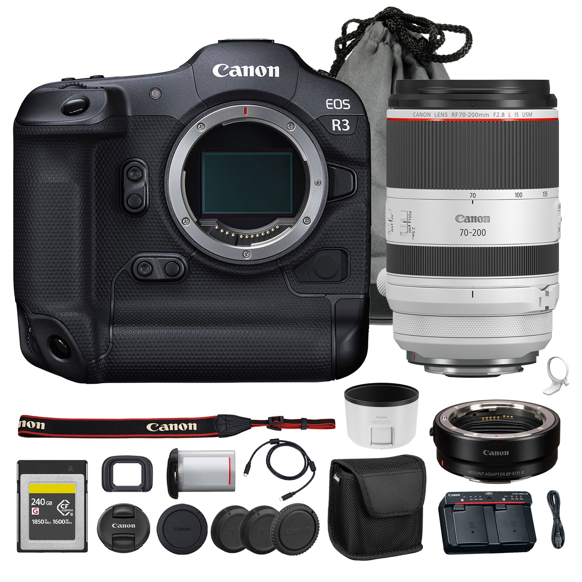 Canon EOS R3 Mirrorless Camera – 24MP Full-Frame Sensor, 6K RAW Video