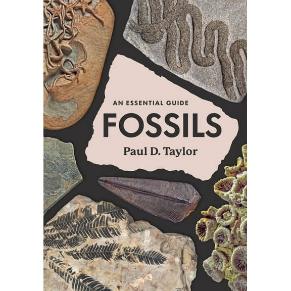 Fossils: An Essential Guide, (Hardcover)