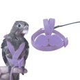 thumbnail image 1 of Bird Harness Leash Set Easy to Wear Creative Fashion Parrot Harness with Leash, 1 of 6