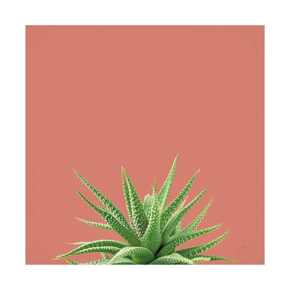 Felicity Bradley 'Succulent Simplicity I Coral' Canvas Art