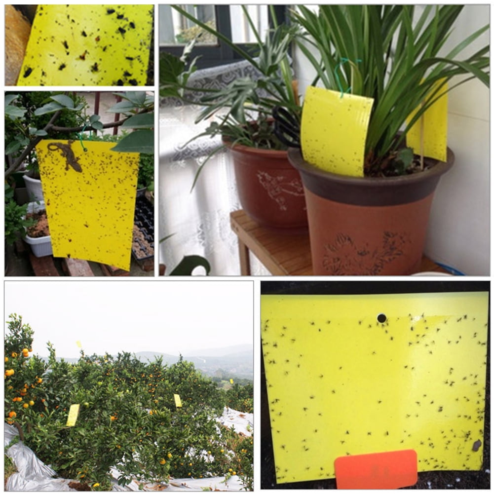 YiaNXan 100 Pack Dual-Sided Yellow Sticky Traps, 5.9" x 7.87" Fruit Fly Traps Fungus Gnat Traps for Indoor Outdoor Use Protect The Plant