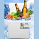 thumbnail image 1 of Nevera 10L EPS Caja Aislada Eficiente Camping Picnic Pesca, 1 of 7