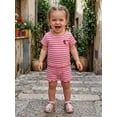 thumbnail image 5 of Cenuakty Baby3M 6M 12M 18M 24M 2T 3T Girl 2Pcs Summer Outfits Short Sleeve Fruit Embroidery Tops and Shorts Set Toddler Spring Clothes, 5 of 9