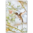 thumbnail image 1 of Picture-Tiles.com: Bird Ceramic Tile Wall Mural WAL500168-46M. 24"W x 36"H using (24) 6" x 6" Ceramic Tiles-Satin Finish, 1 of 3