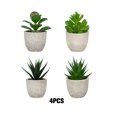 thumbnail image 4 of Cateissary 4 piezas para el hogar con decoración plantas suculentas artificiales-belleza botánica dentro de plantas falsas para aliviar el Decoración, 4 of 6