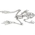 thumbnail image 3 of Frog Skeleton Halloween Decoration, 3 of 3