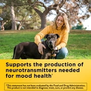 Nature Made Vitamin B6 100 mg Tablets, B6 Vitamins for Energy Metabolism Support, 100 Count