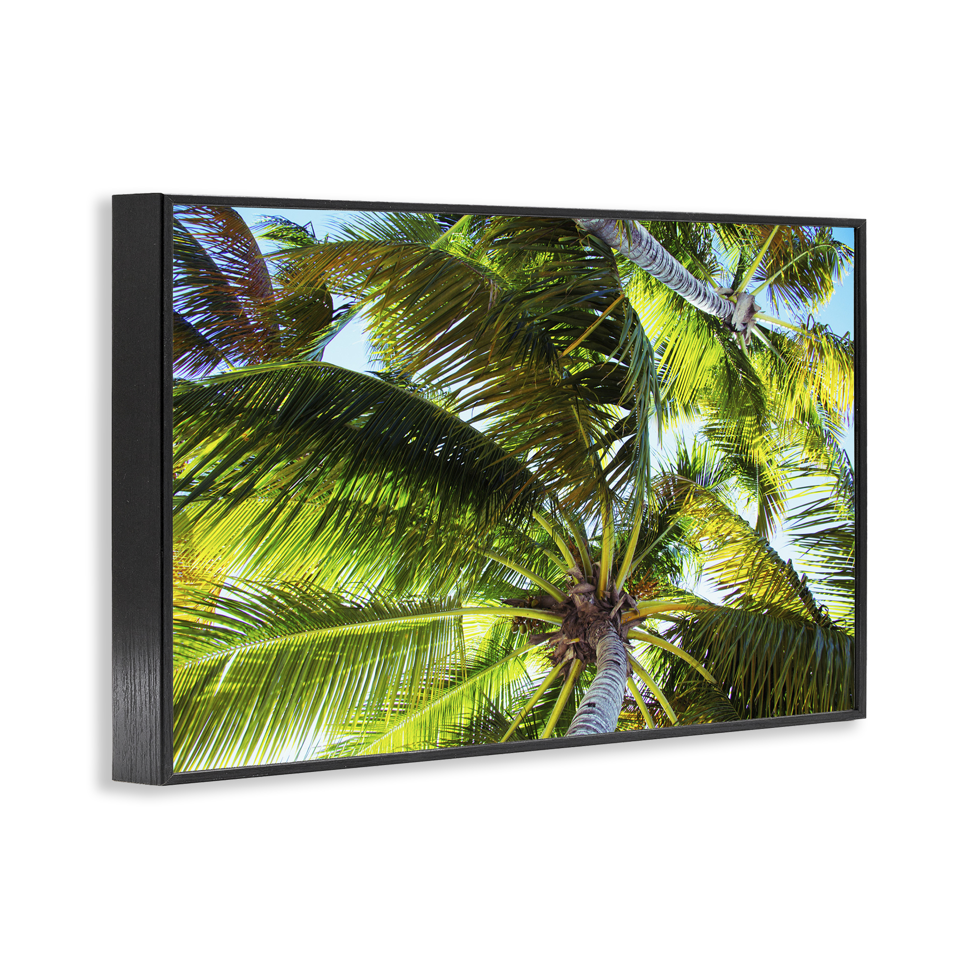 Stupell Industries Swaying Palm Leaves Botanical & Floral Photography Black Framed Art Print Wall Art, 24 x 16