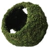 Galapagos Reptile Mossy Cave w/ Holes, Green, 7.5" Diameter