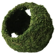 Galapagos Reptile Mossy Cave w/ Holes, Green, 7.5" Diameter