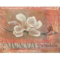 thumbnail image 2 of Unknown 32x26 Black Ornate Wood Framed with Double Matting Museum Art Print Titled - White Magnolia, 2 of 4