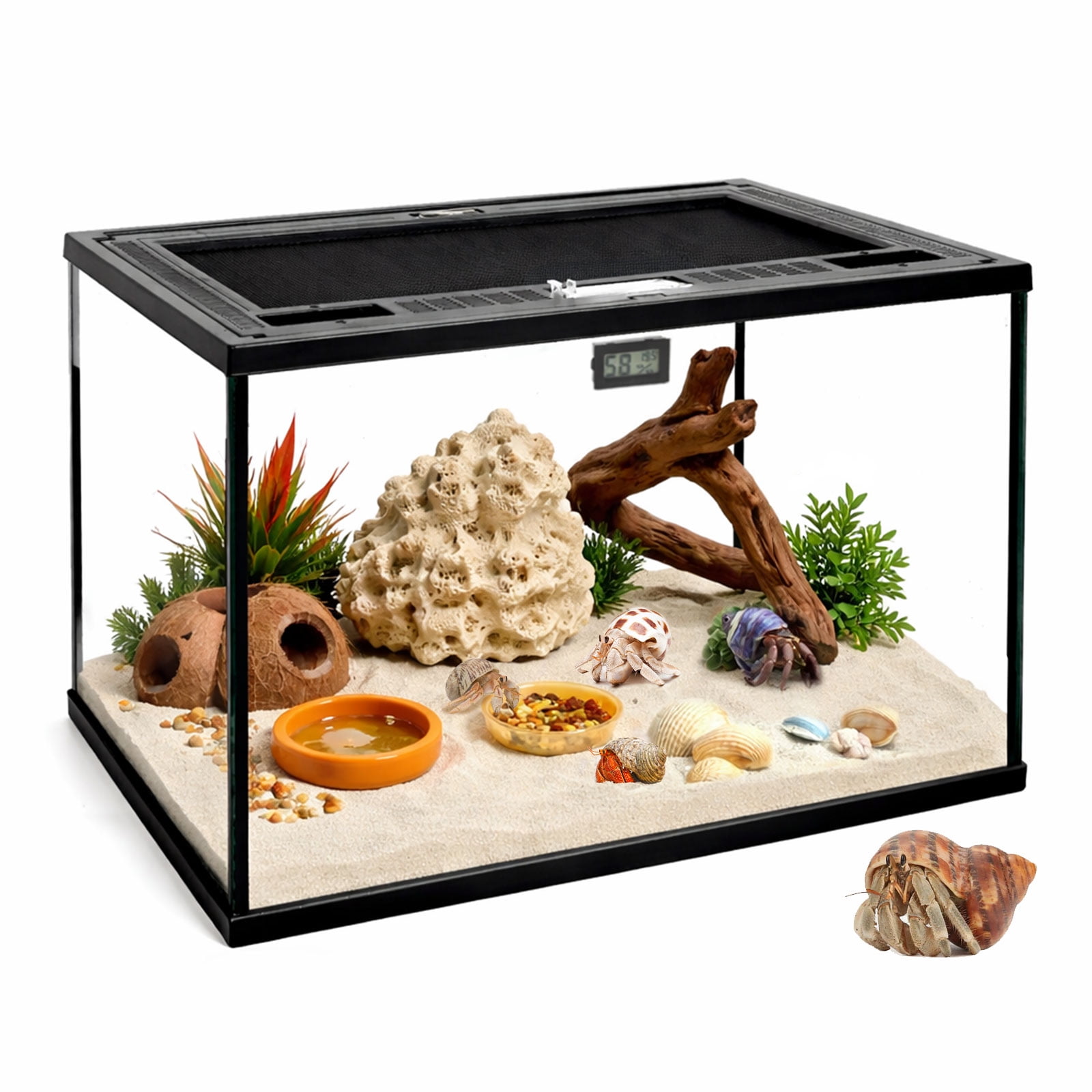 Reptile Glass Tank 16"x11"x11" Terrarium with Top Opening and Screen Ventilation for Leopard Gecko,Lizard,Hermit Crab,Snake,Spider,Frog,Bearded Dragon,Turtle
