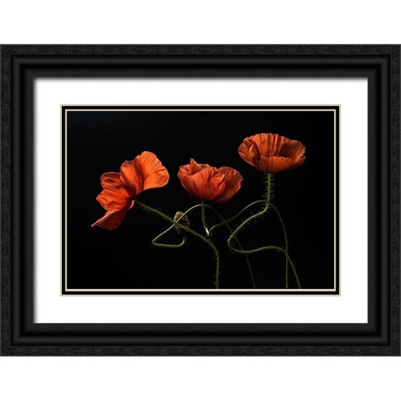 Lenka 24x17 Black Ornate Wood Framed with Double Matting Museum Art Print Titled - Around Midnight #2