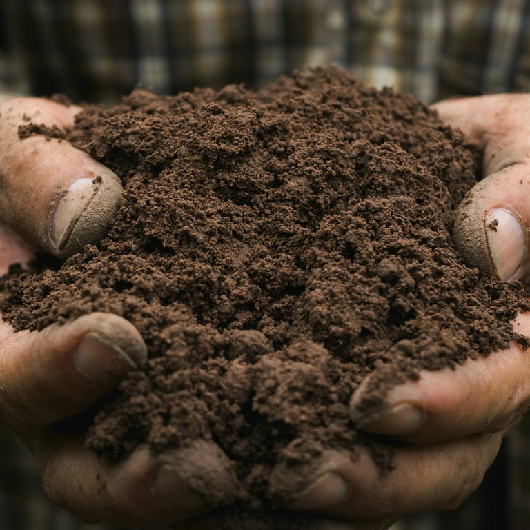 Michigan Peat Garden Magic Potting Soil Mix, Reed Sedge Peat Blend