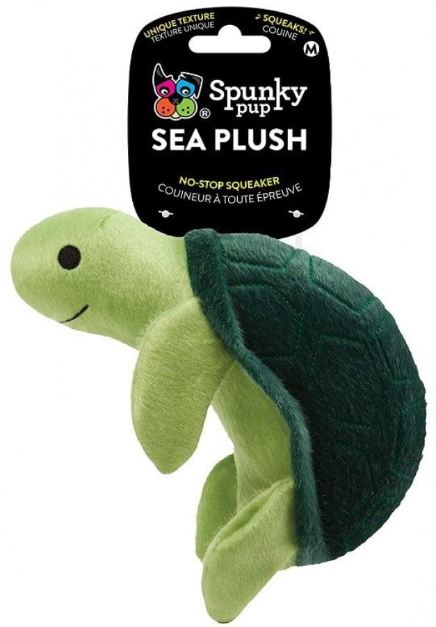 turtle dog toy