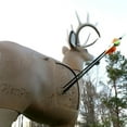 thumbnail image 2 of GlenDel G75000 Full Rut Buck 3D Backyard Crossbow Bow and Arrow Archery Target, 2 of 4