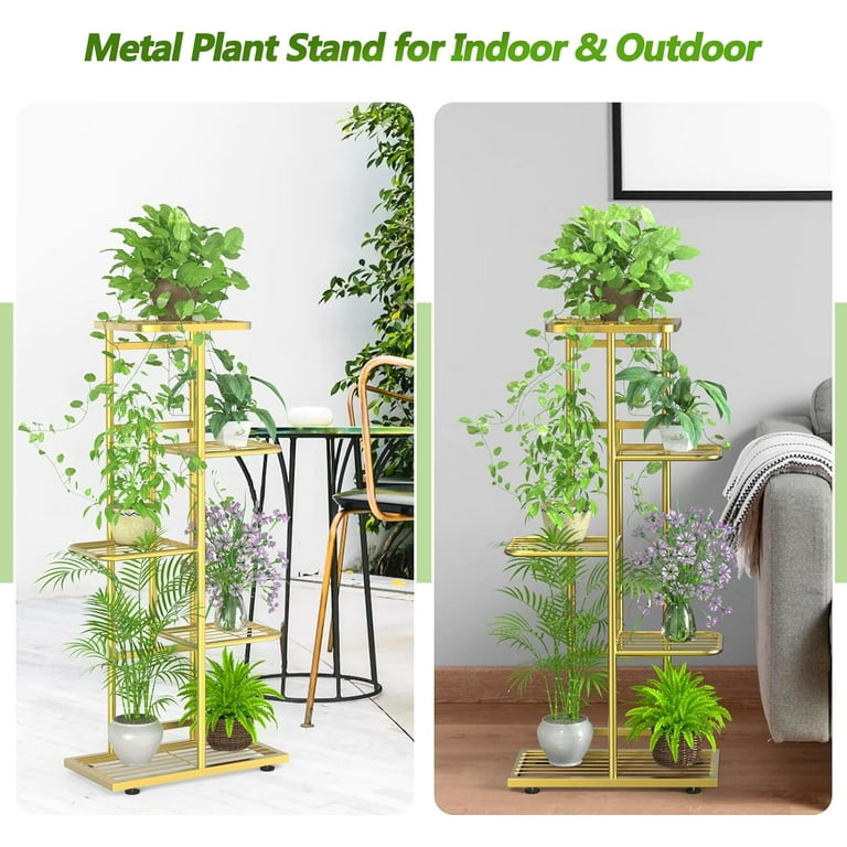 thai elephant ear plant Colocasia 'Thai Giant' Elephant Ear Bare Root 19" Plant  Jayme Garden